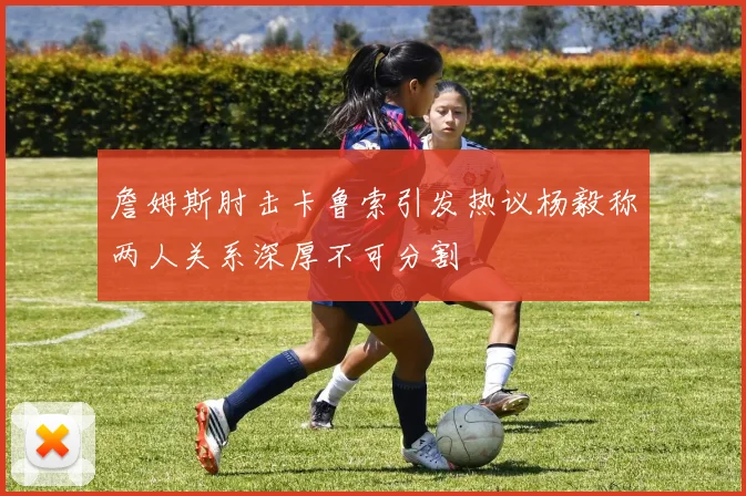 詹姆斯肘击卡鲁索引发热议杨毅称两人关系深厚不可分割