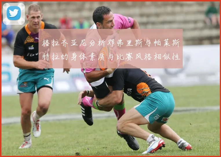 格拉齐亚尼分析邓弗里斯与帕莱斯特拉的身体素质与比赛风格相似性